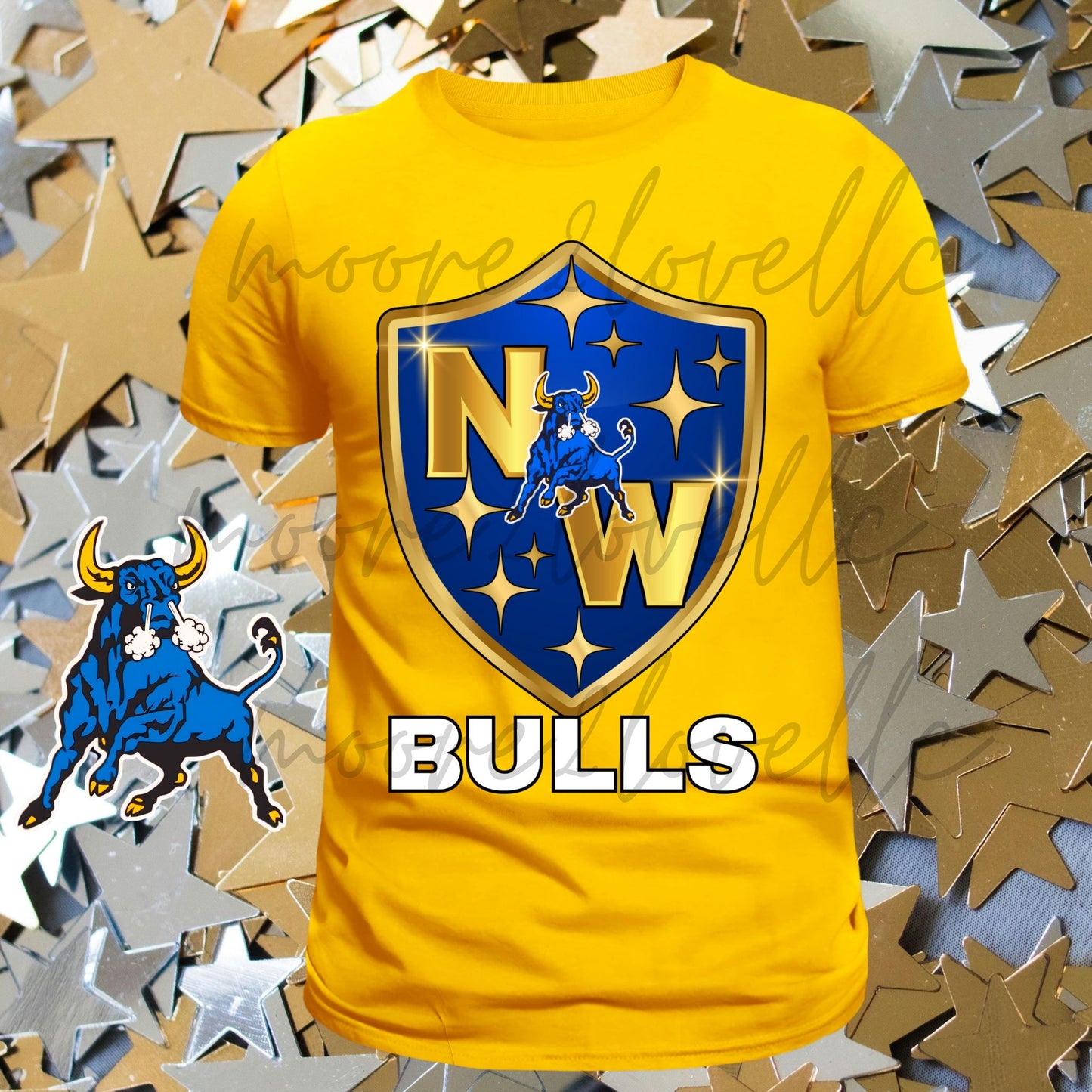 Bulls All-Star Shield Tee