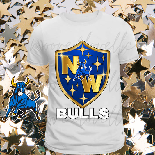 Bulls All-Star Shield Tee