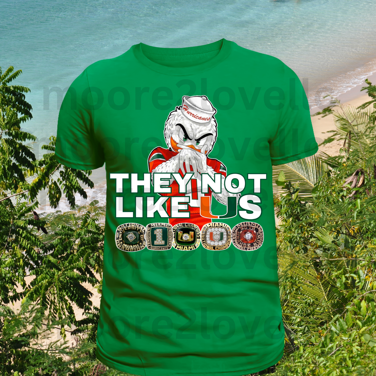 They Not Like Us (Hurricanes Tee)